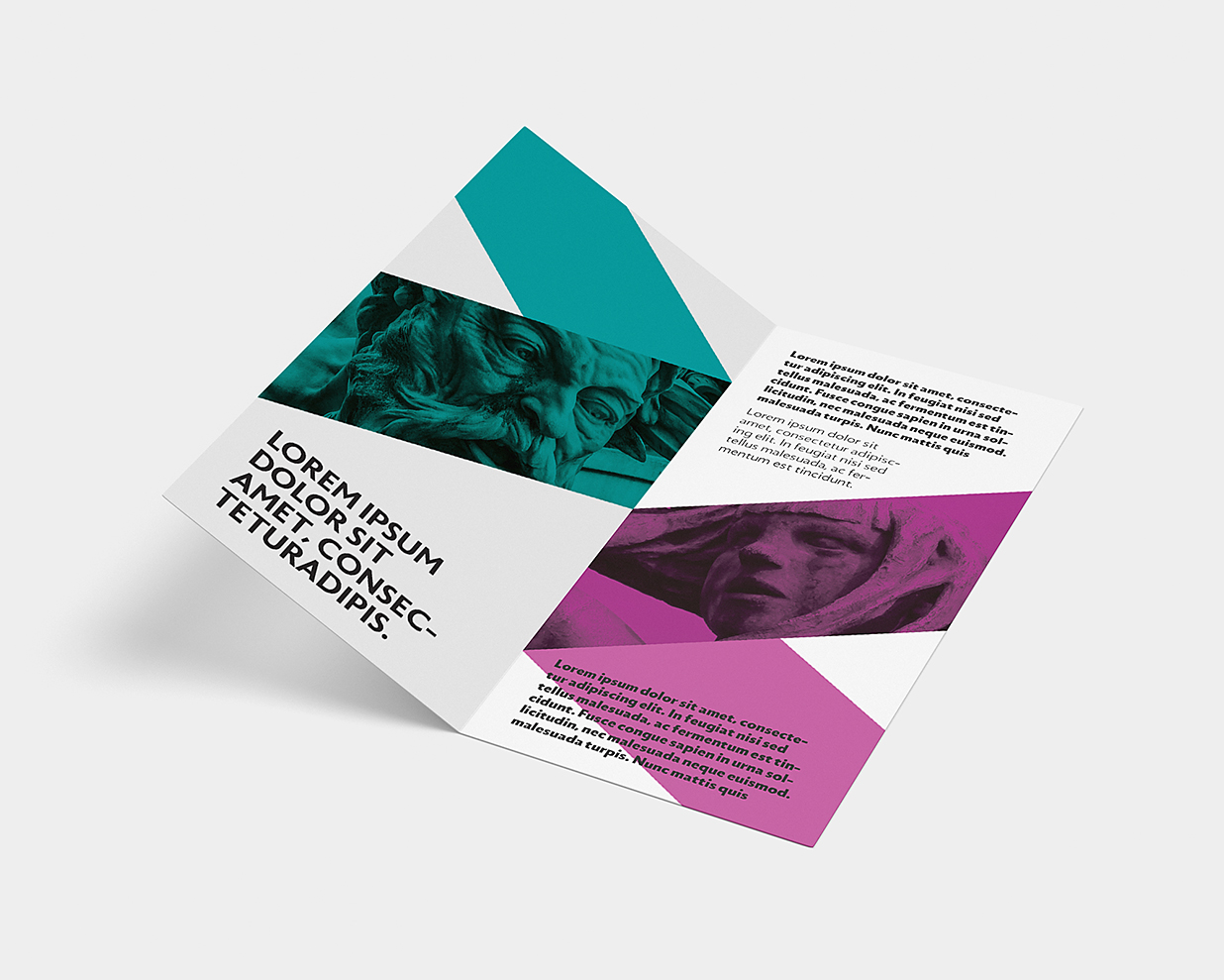 竖版折页双折页样机mockup4组插图2