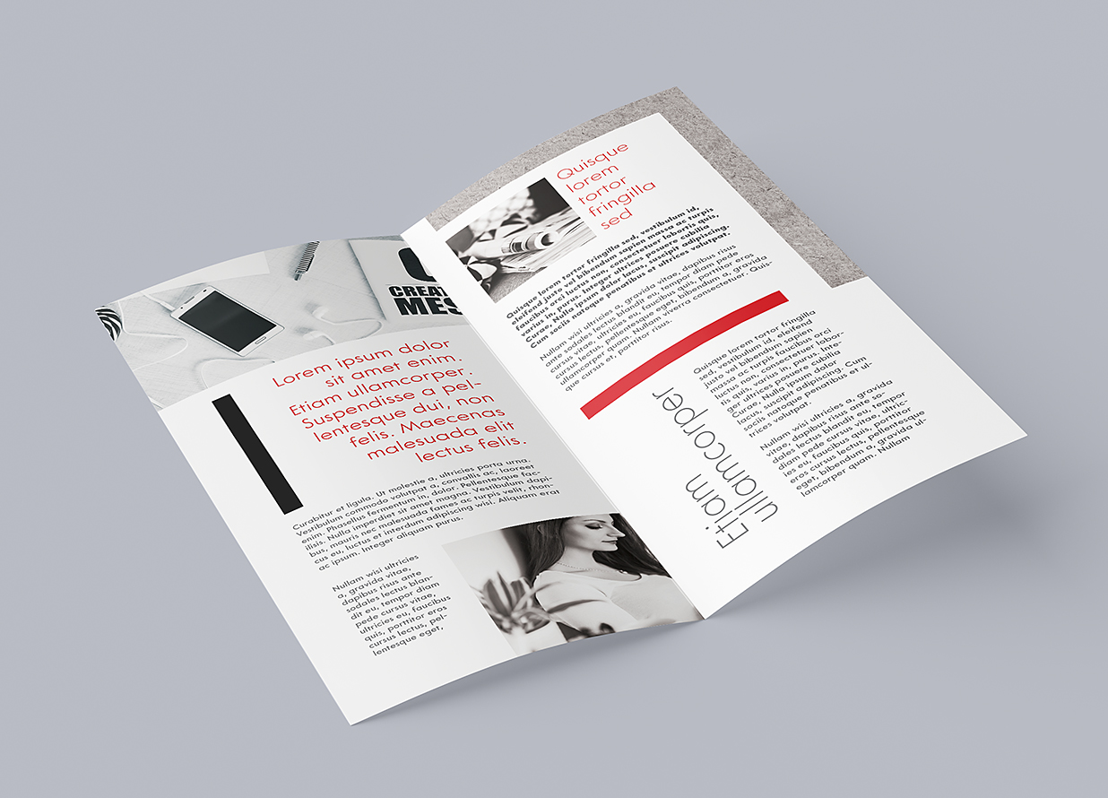 竖版折页双折页样机mockup4组插图2