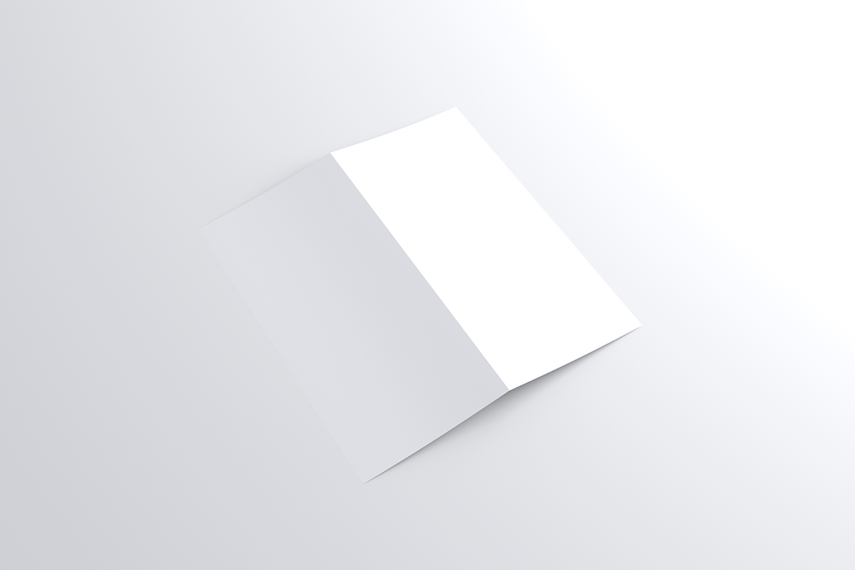 竖版折页双折页样机mockup6组插图9