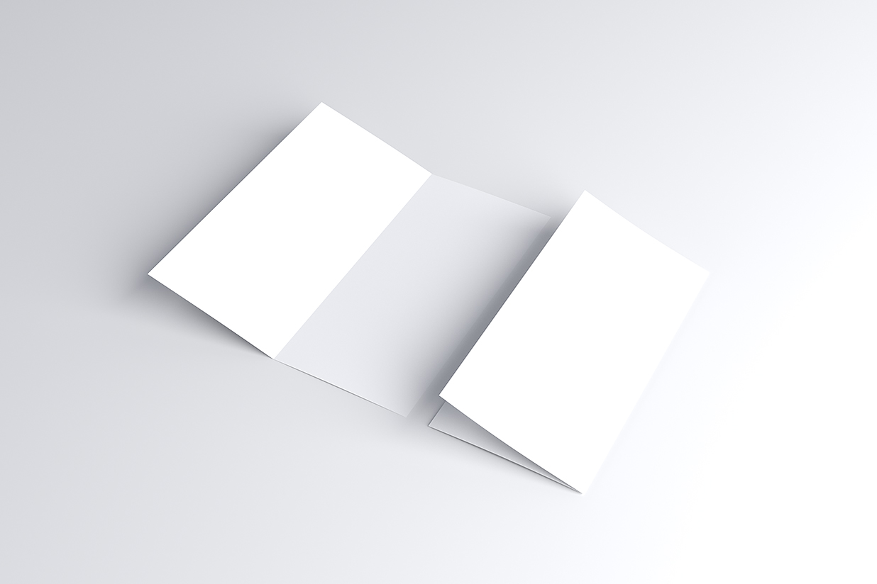 竖版折页双折页样机mockup6组插图10