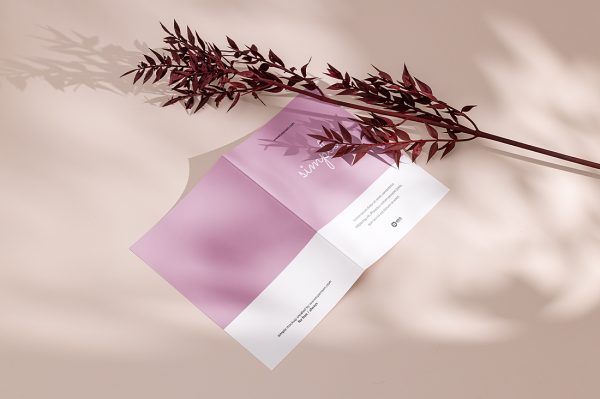 带红色植物场景的折页双折页样机mockup