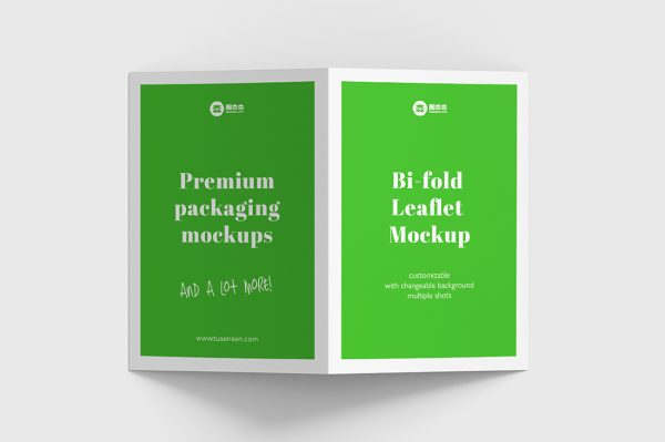 折页双折页样机mockup3组