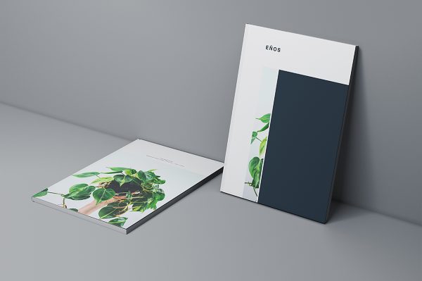 靠在墙上的杂志画册样机mockup