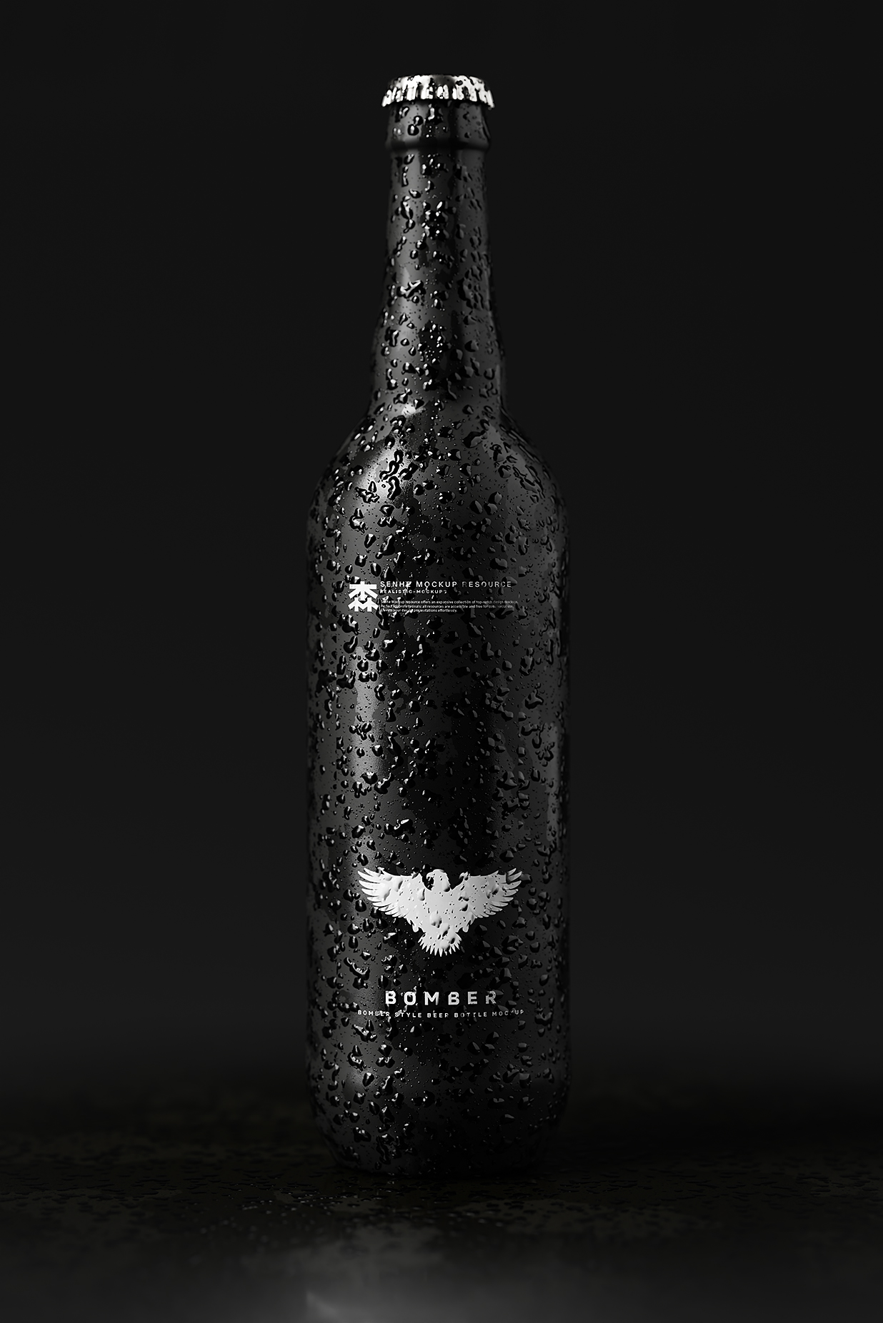 带水滴的高质感啤酒瓶包装样机mockup10组插图8