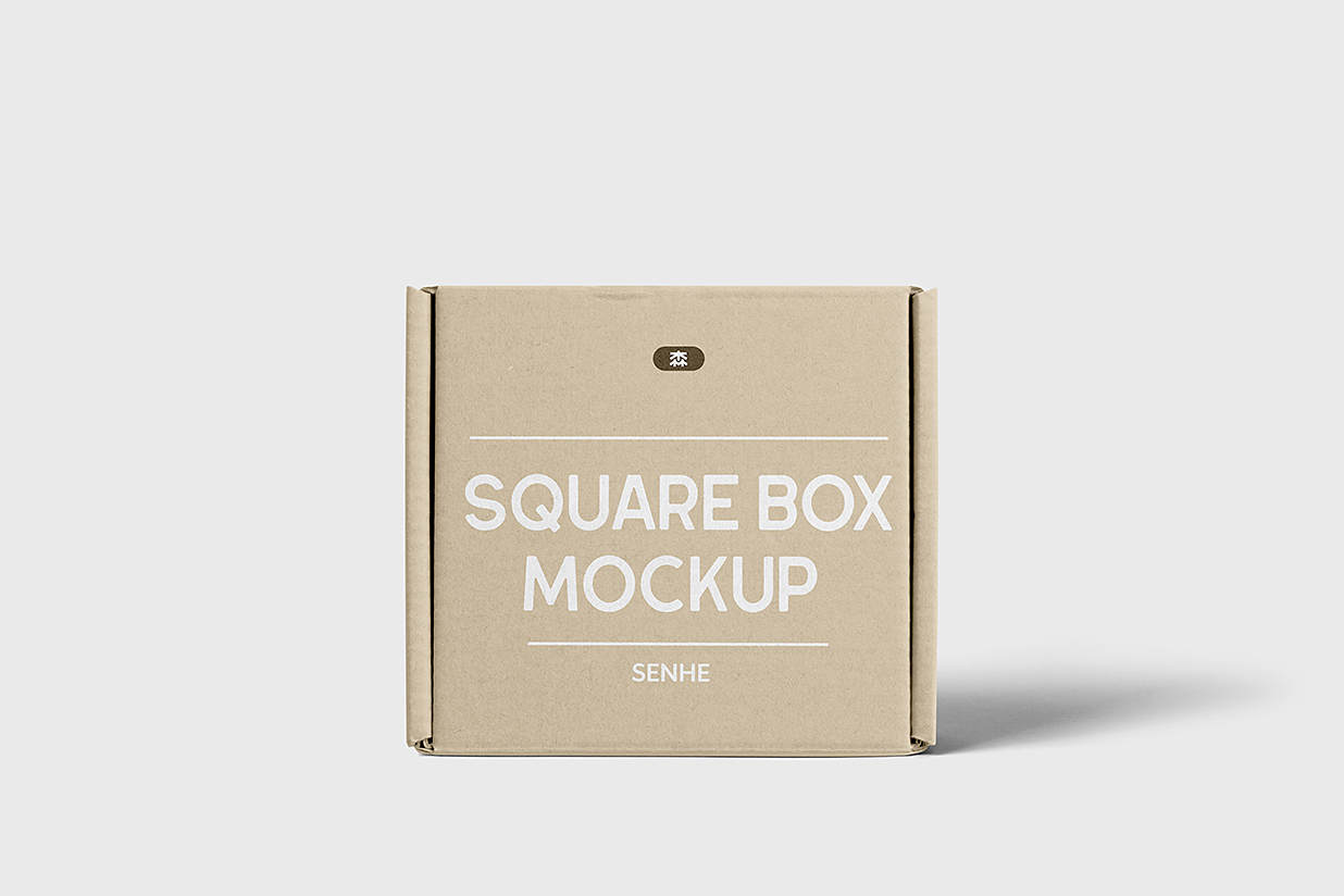 牛皮纸飞机盒纸箱快递盒快递箱包装样机mockup插图