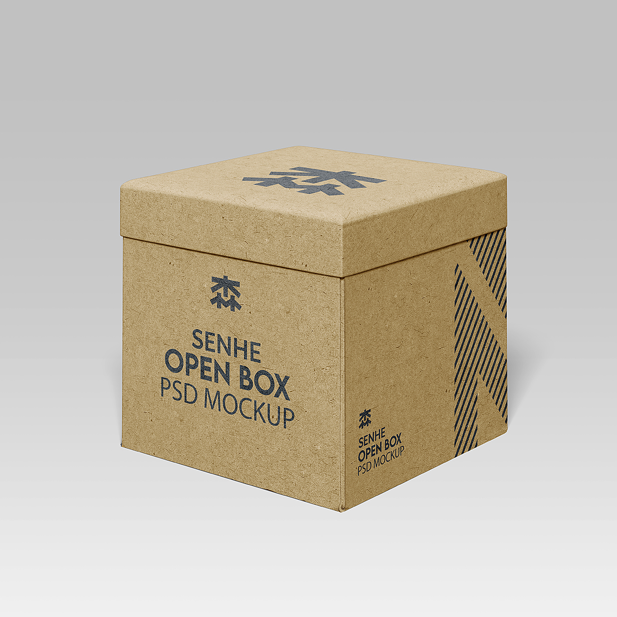 牛皮纸天地盖礼品盒纸盒纸箱包装样机mockup3组插图