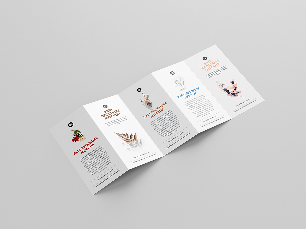 优雅的折页五折页样机mockup5组插图