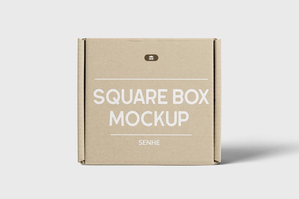 牛皮纸飞机盒纸箱快递盒快递箱包装样机mockup