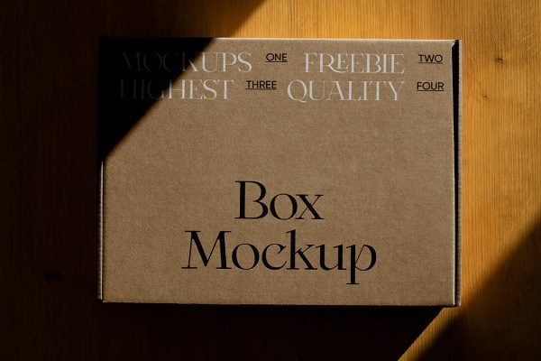 放在地板上的飞机盒纸盒快递盒包装样机mockup