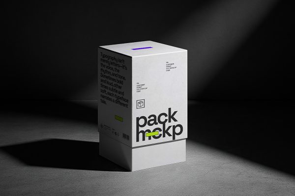 立式天地盖纸盒包装盒样机mockup