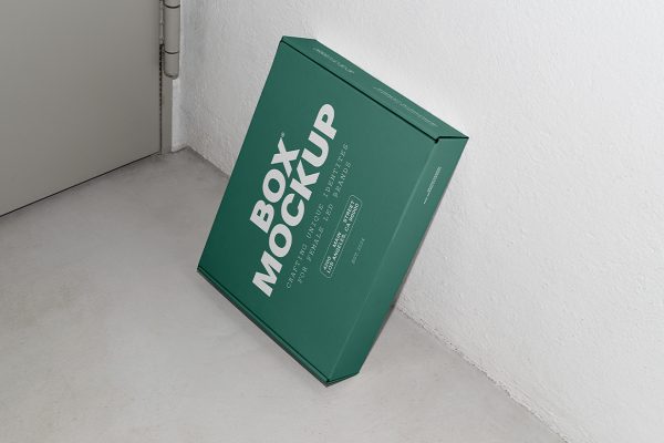 靠在墙上的飞机盒纸盒包装盒样机mockup