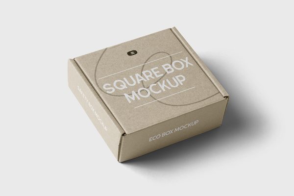 飞机盒纸盒包装盒样机mockup