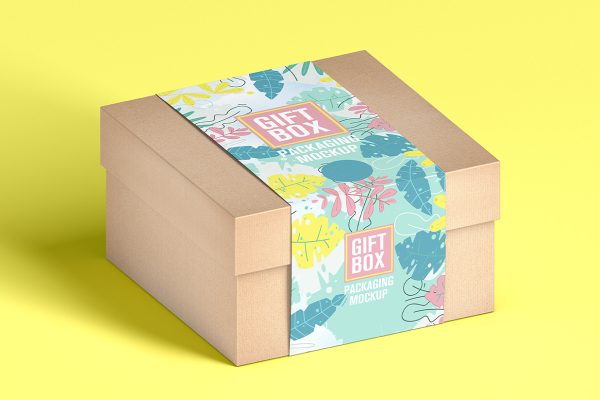 牛皮纸天地盖纸盒礼盒包装盒样机mockup