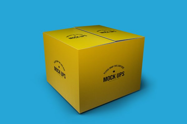 双开式纸盒礼盒纸箱包装盒样机mockup3组