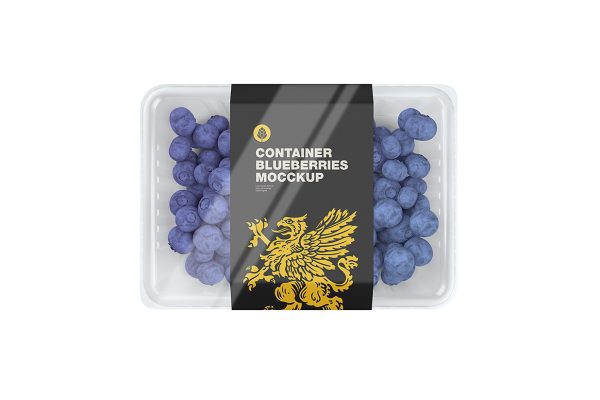 蓝莓食品包装样机mockup