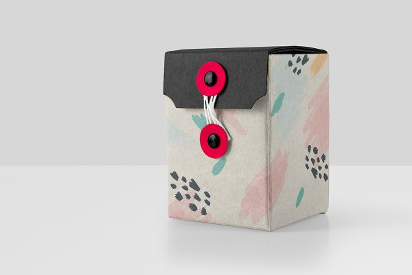 带纽扣绳扣的牛皮纸礼品盒礼物盒礼盒纸盒包装样机mockup2组