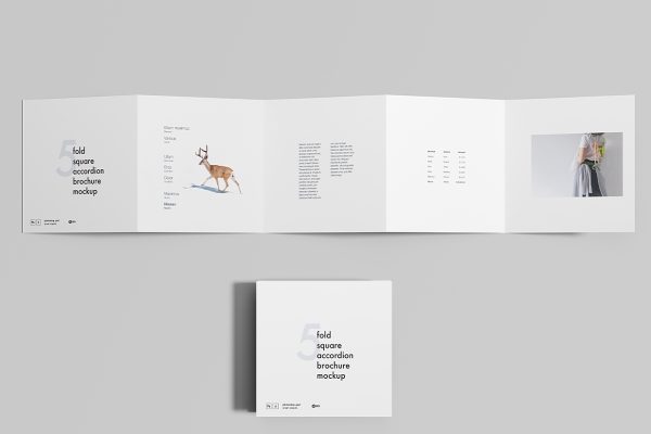 方形折页五折页样机mockup