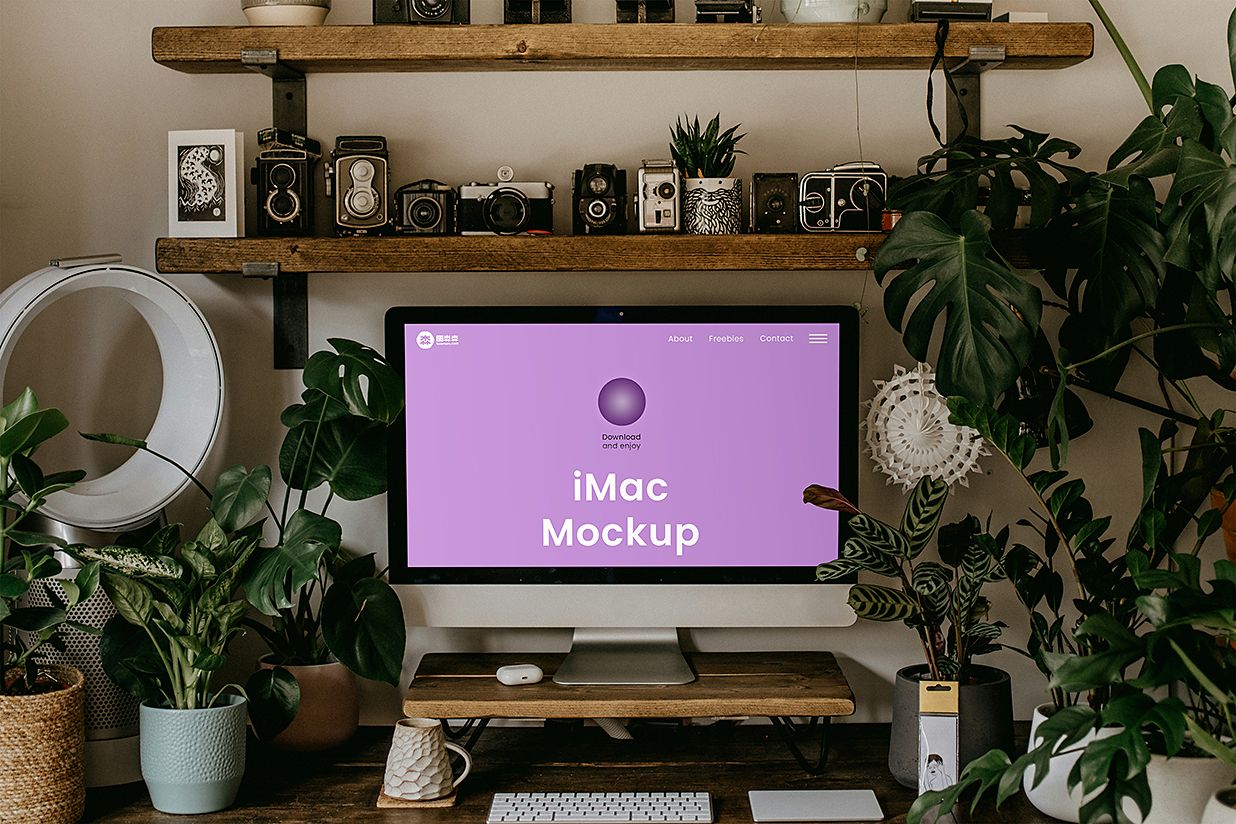 家中带绿植场景的的iMac样机mockup插图