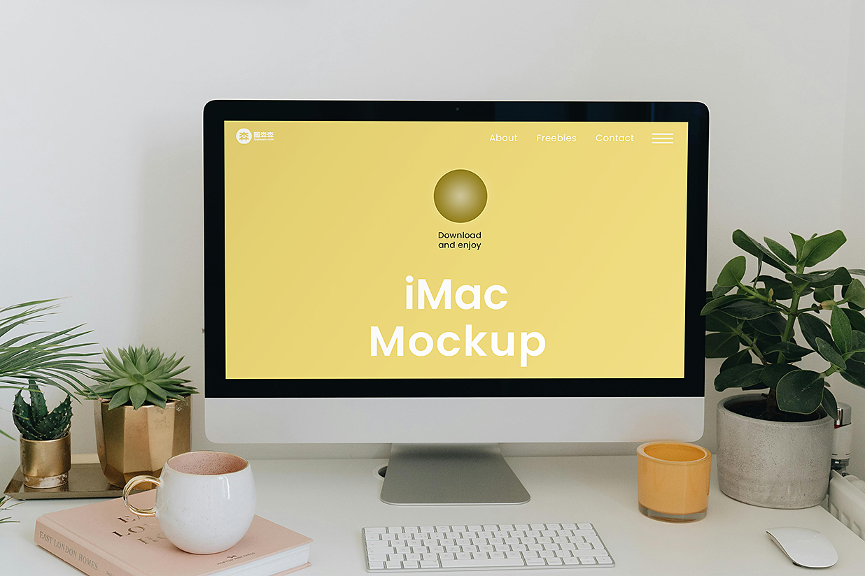 带绿植场景的iMac样机mockup插图