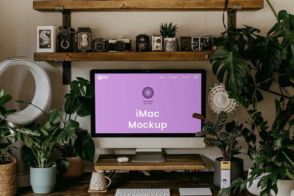 家中带绿植场景的的iMac样机mockup
