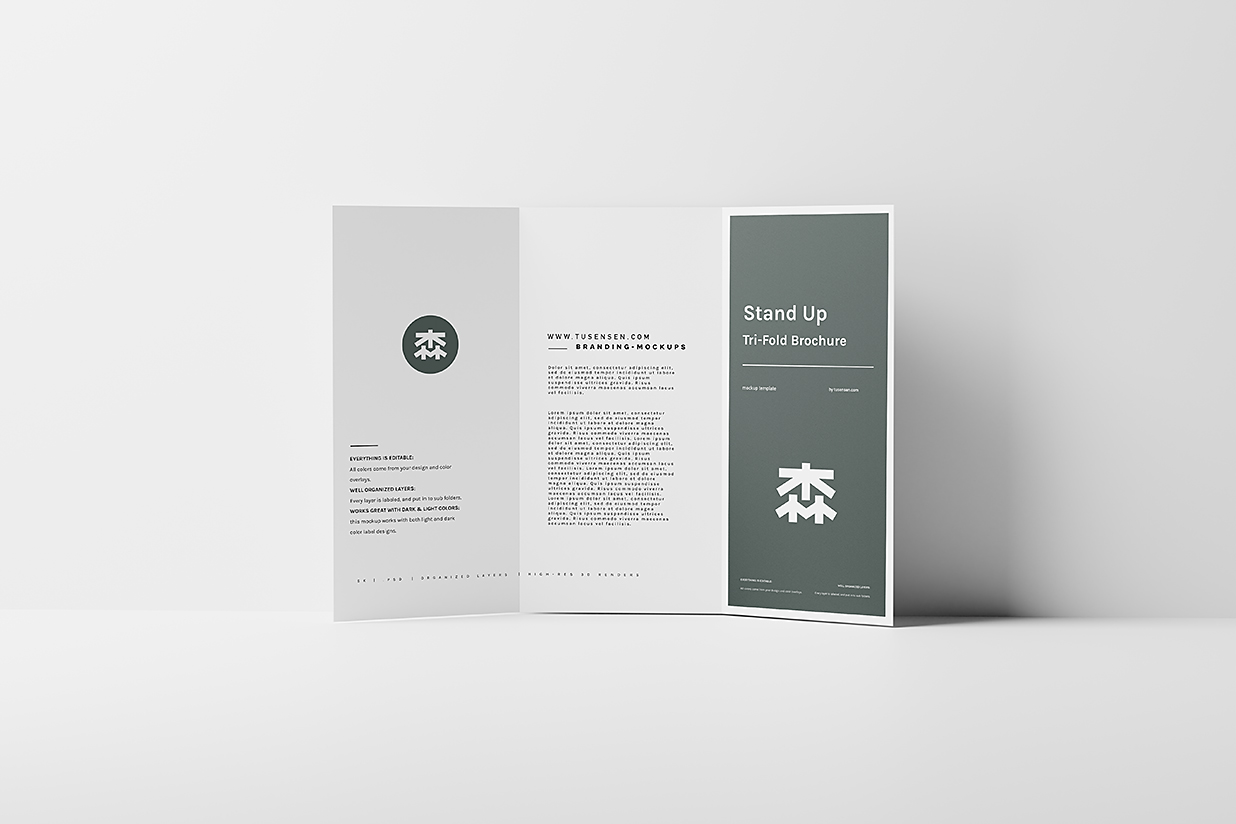 高质感三折页样机mockup5组插图