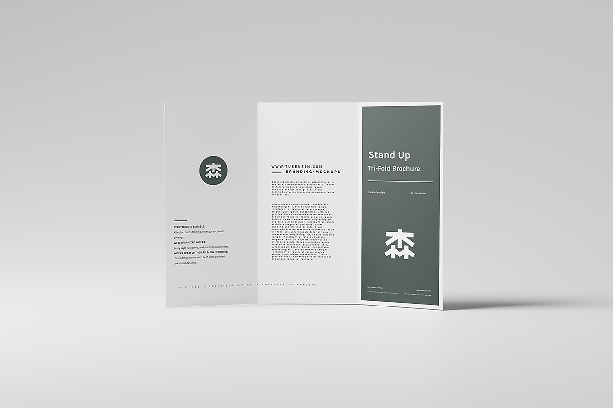 高质感三折页样机mockup5组插图1