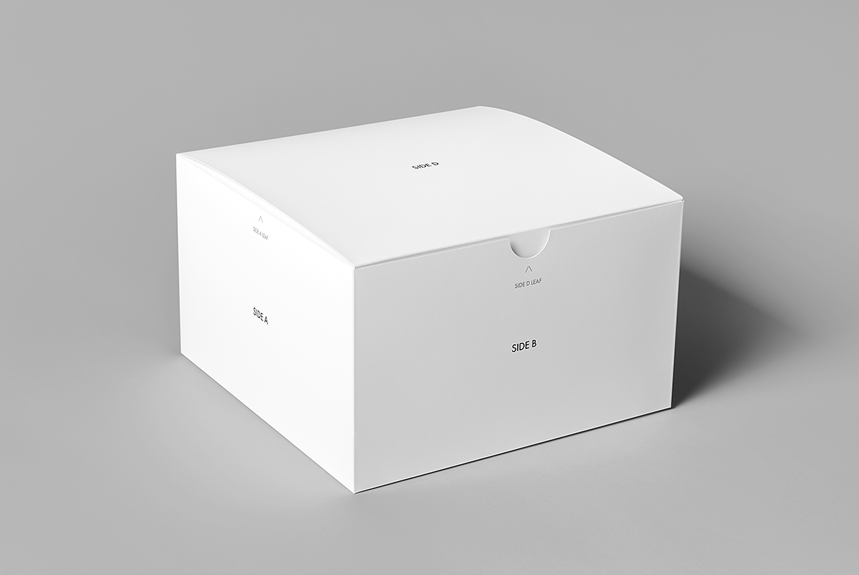 带包装盒的鸭舌帽棒球帽帽子样机mockup7组插图1