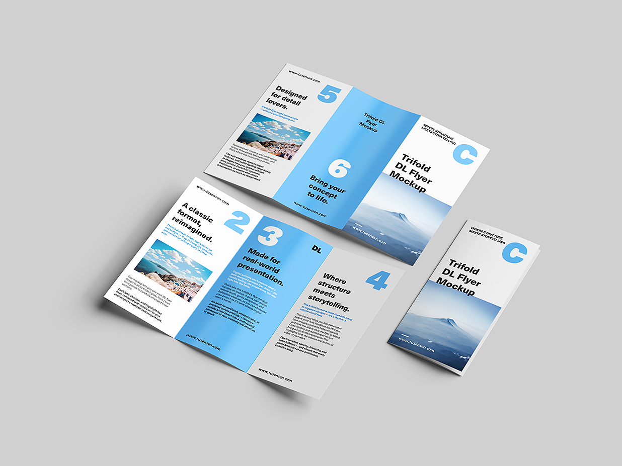 高质感折页三折页样机mockup5组插图2
