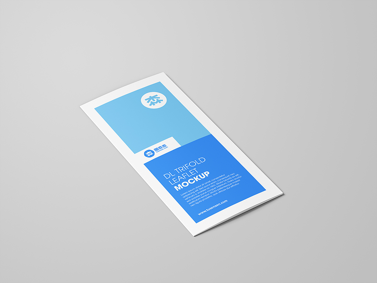 高质感竖版折页三折页样机mockup10组插图5