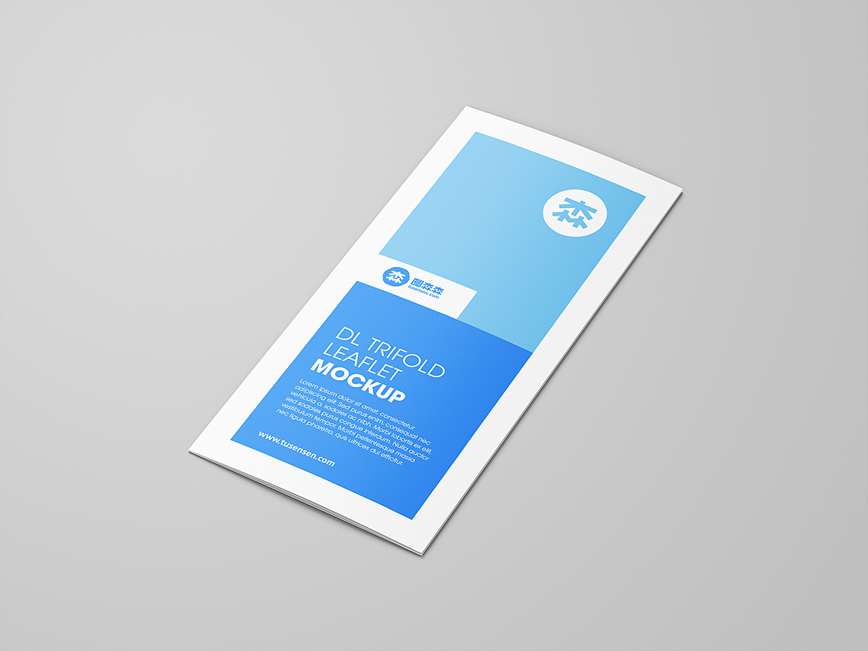 高质感竖版折页三折页样机mockup10组插图6