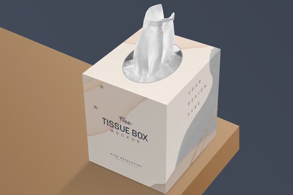 带包装盒的纸巾卫生纸餐巾纸样机mockup