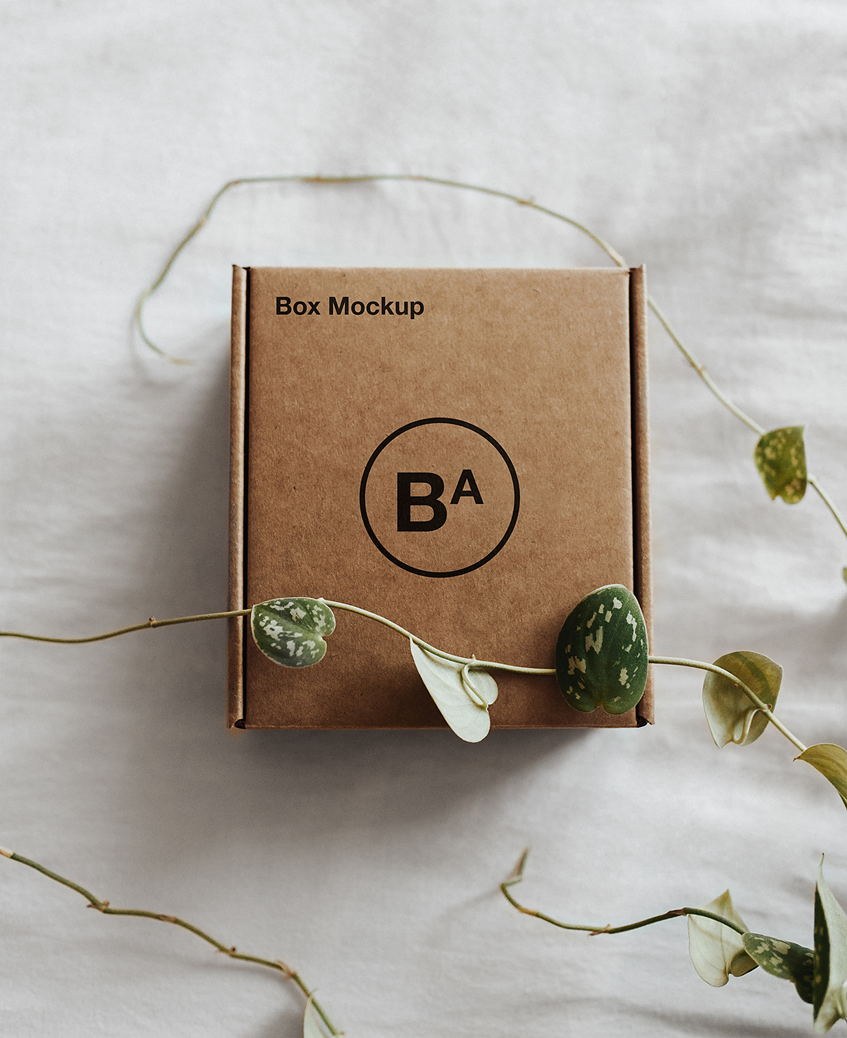 带植物场景的飞机盒纸盒包装盒快递盒样机mockup插图