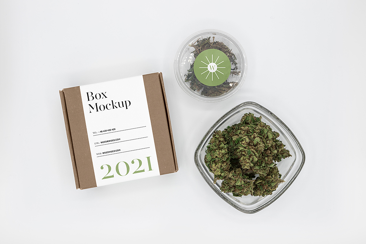 带场景的飞机盒纸盒包装盒快递盒样机mockup插图