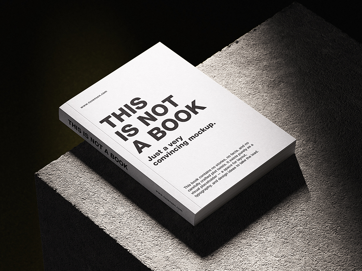 放在混泥土上的软装平装书籍样机mockup3组插图