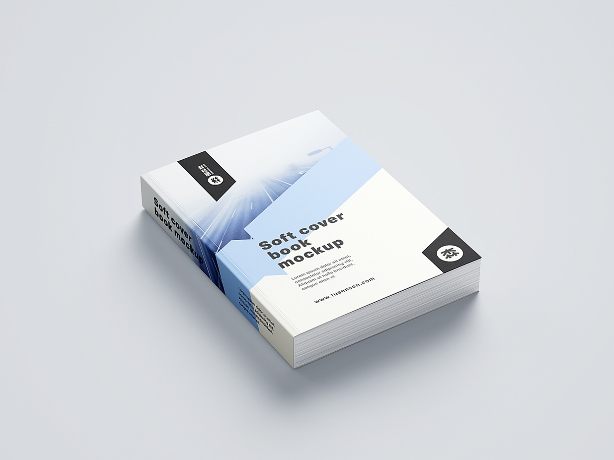 厚重的软装平装书籍样机mockup11组插图