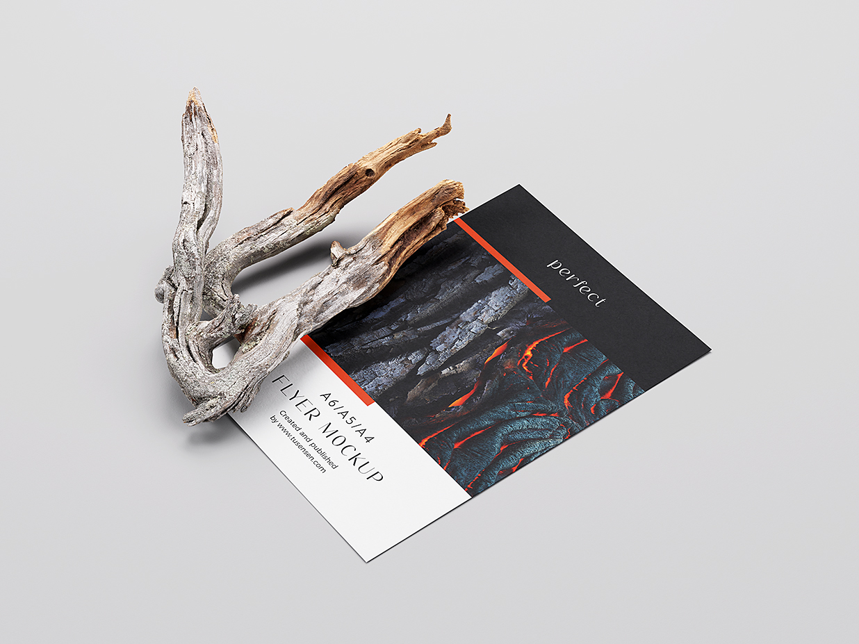 带干树枝的的A4单张宣传单样机mockup4组插图1