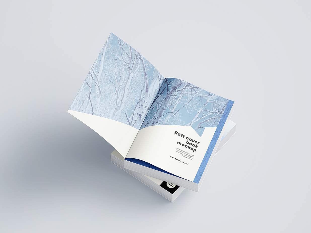 厚重的软装平装书籍样机mockup11组插图2