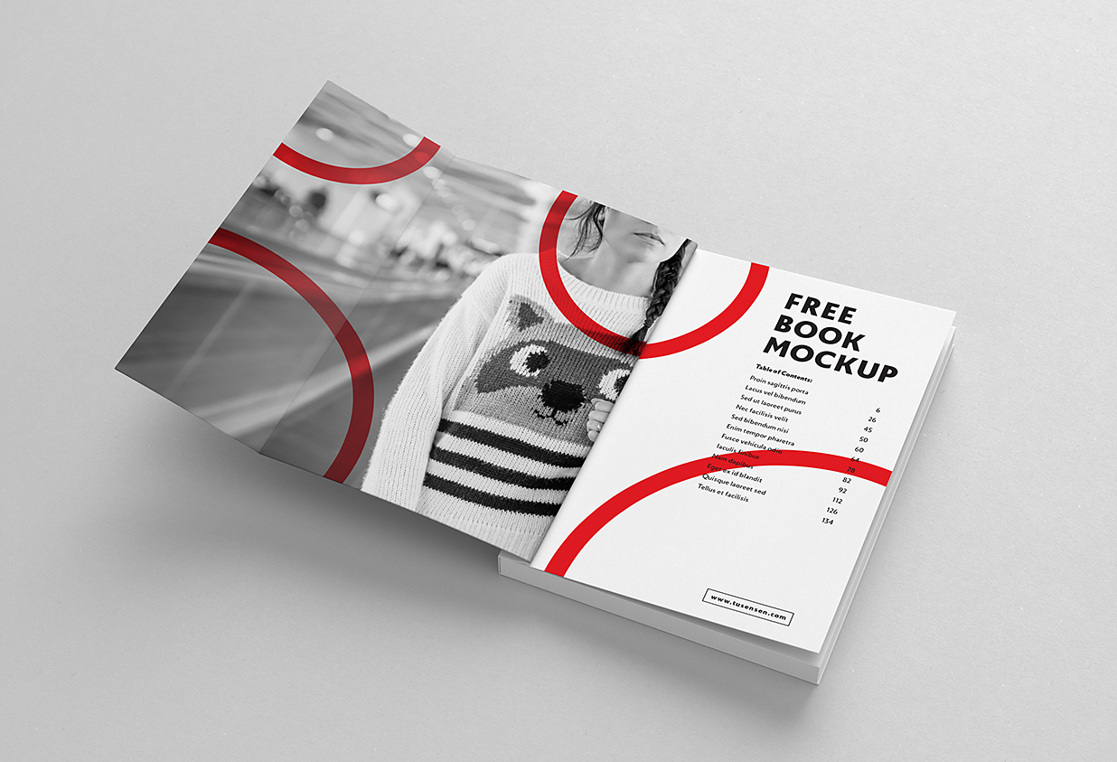 软装平装书籍样机mockup7组插图2