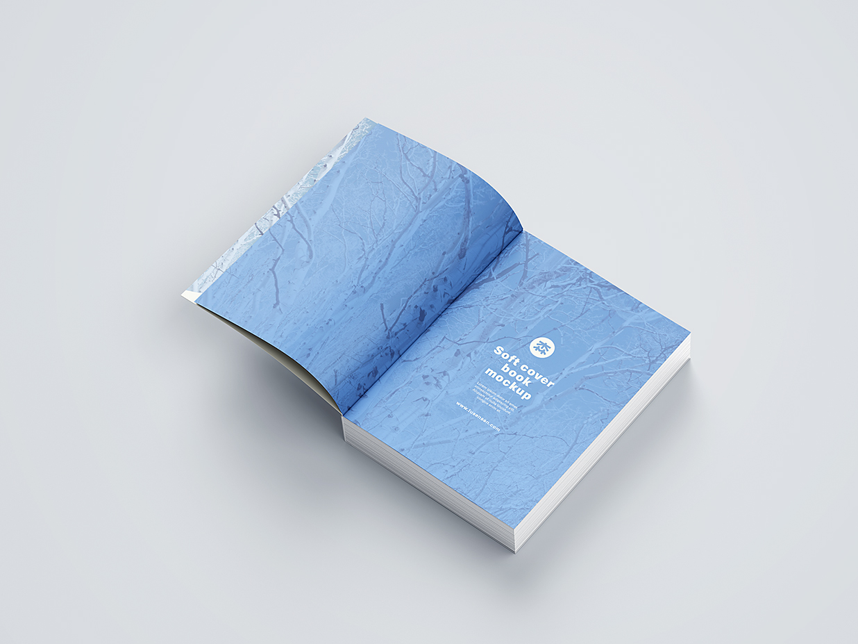 厚重的软装平装书籍样机mockup11组插图3