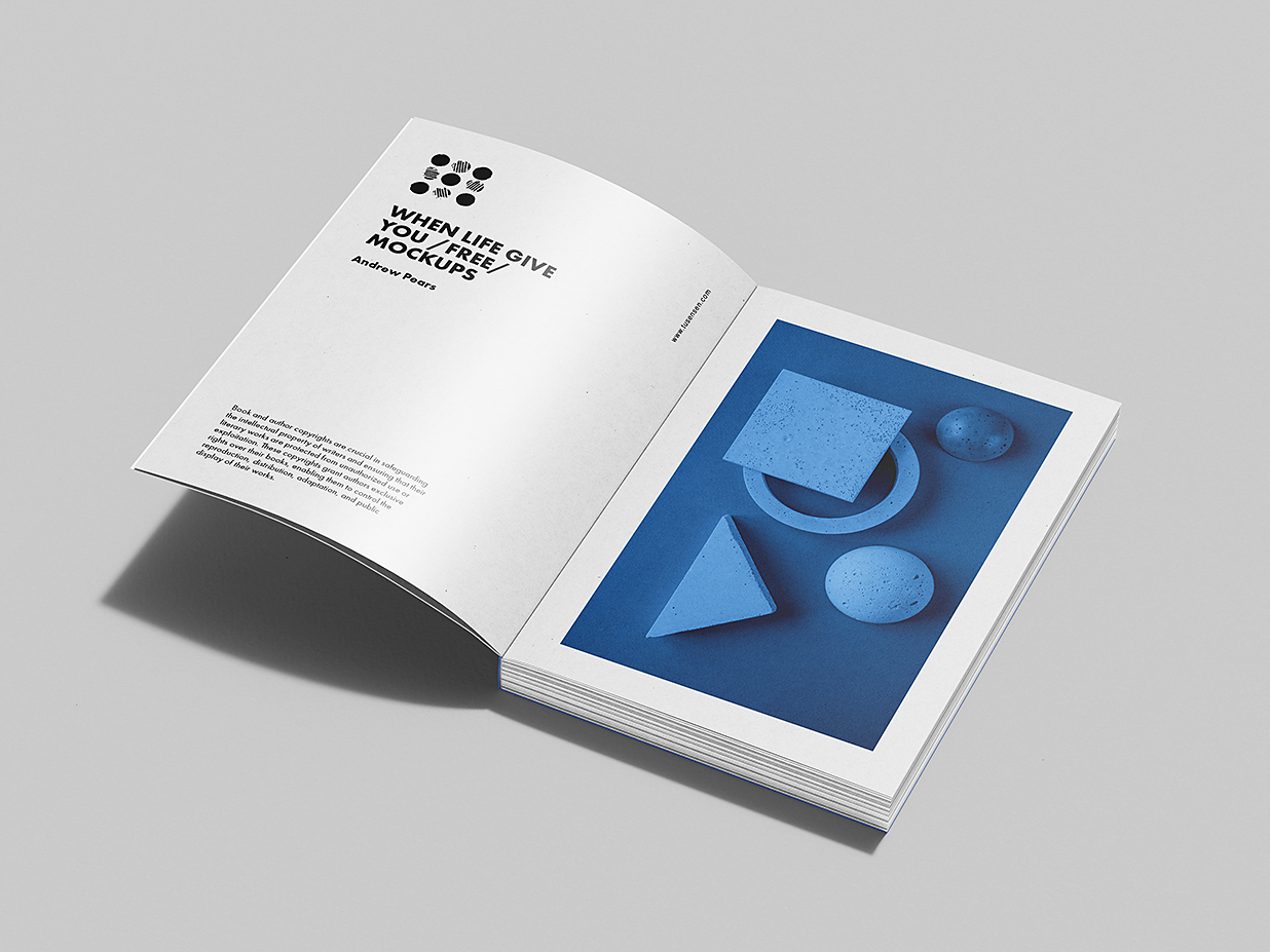 高质感软装平装书籍样机mockup7组插图3