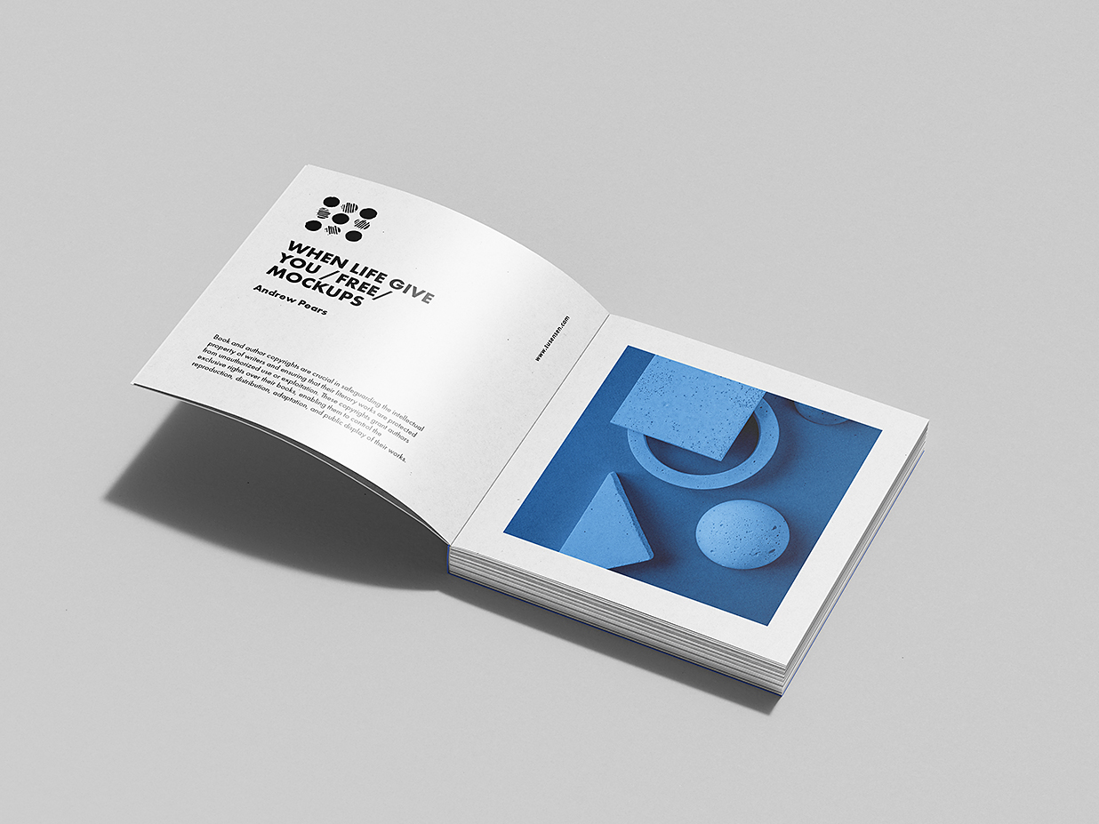 方形软装平装书籍样机mockup7组插图3