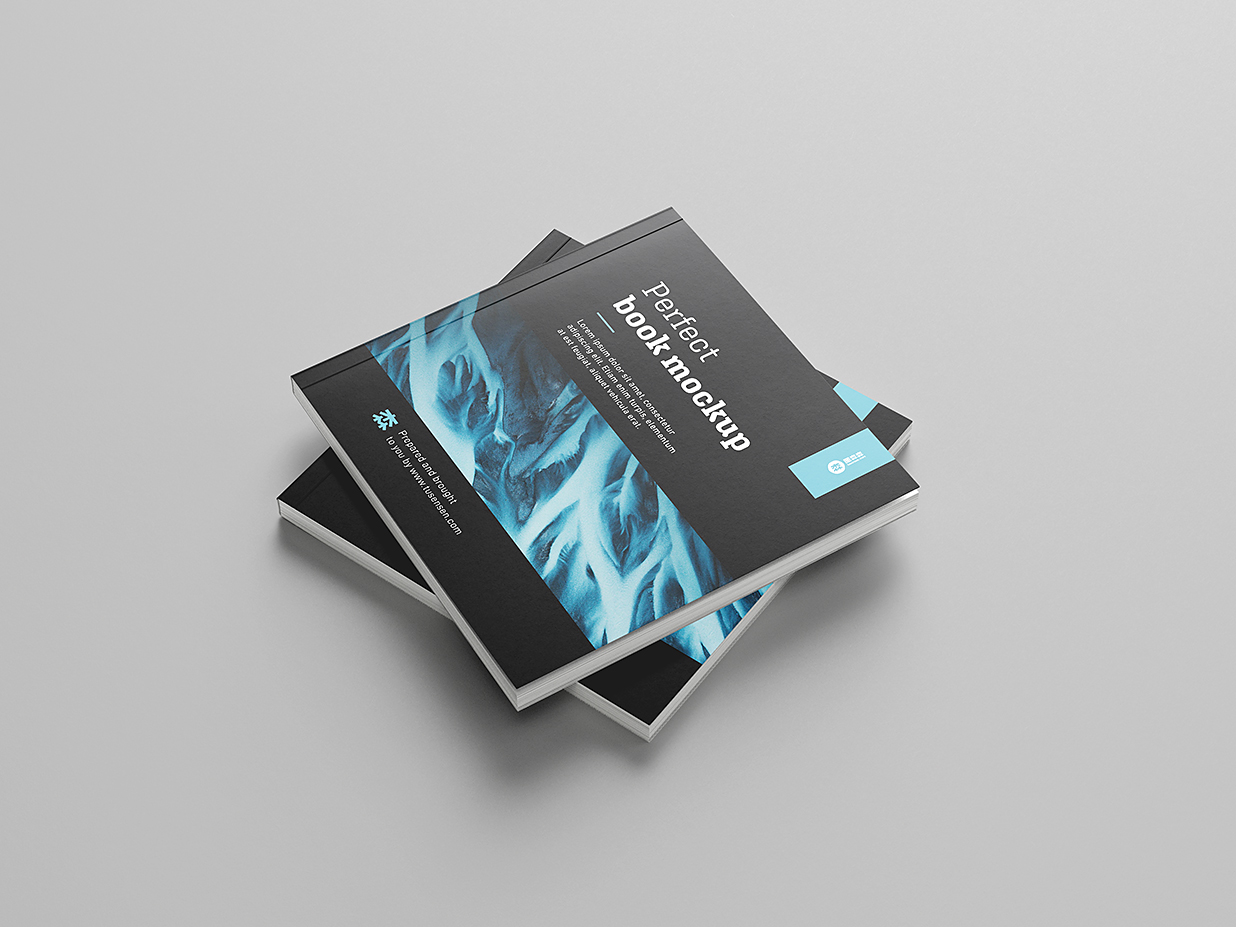 高质感方形软装平装书籍样机mockup8组插图3
