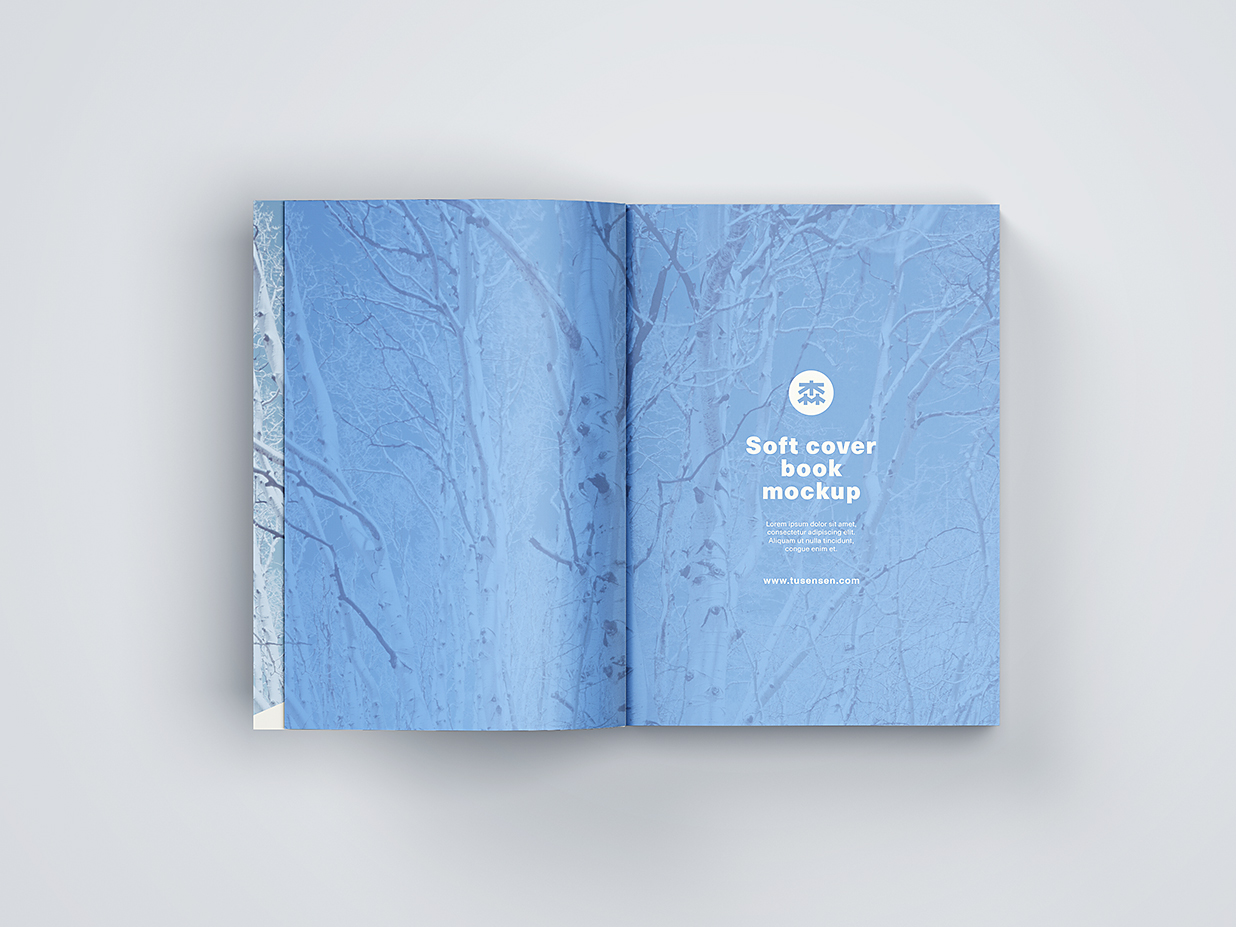 厚重的软装平装书籍样机mockup11组插图4