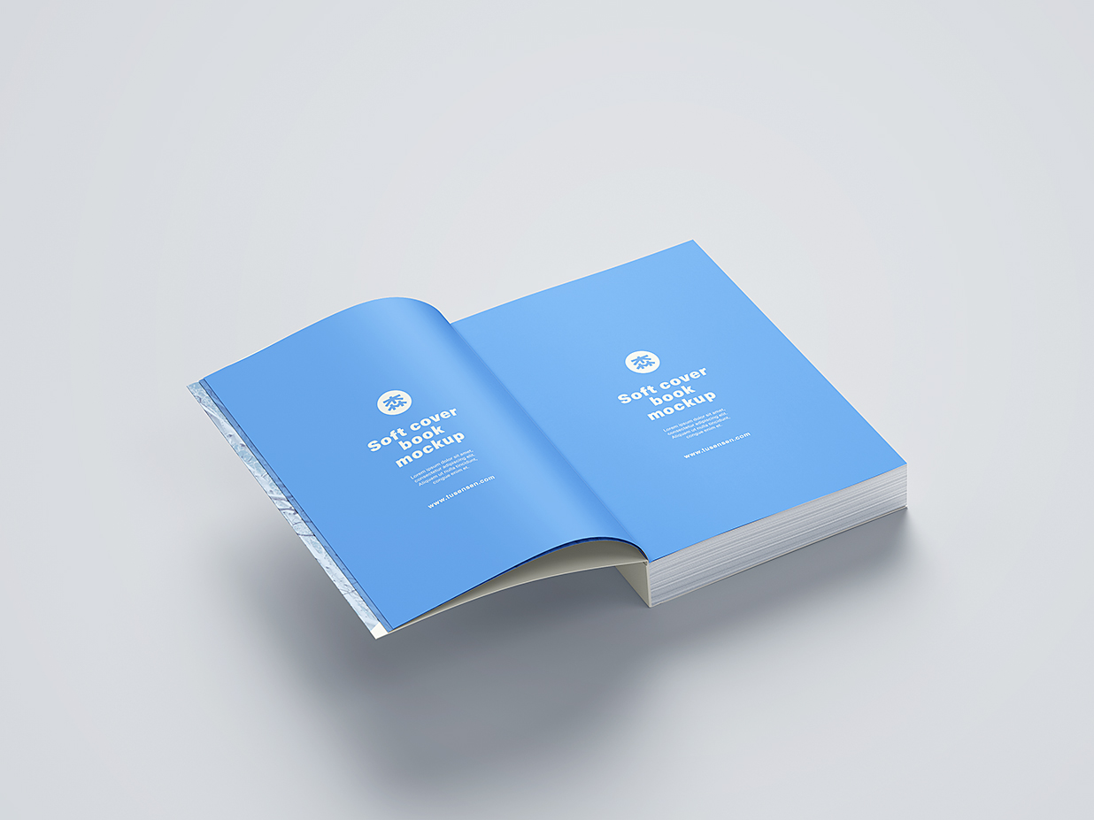 厚重的软装平装书籍样机mockup11组插图5