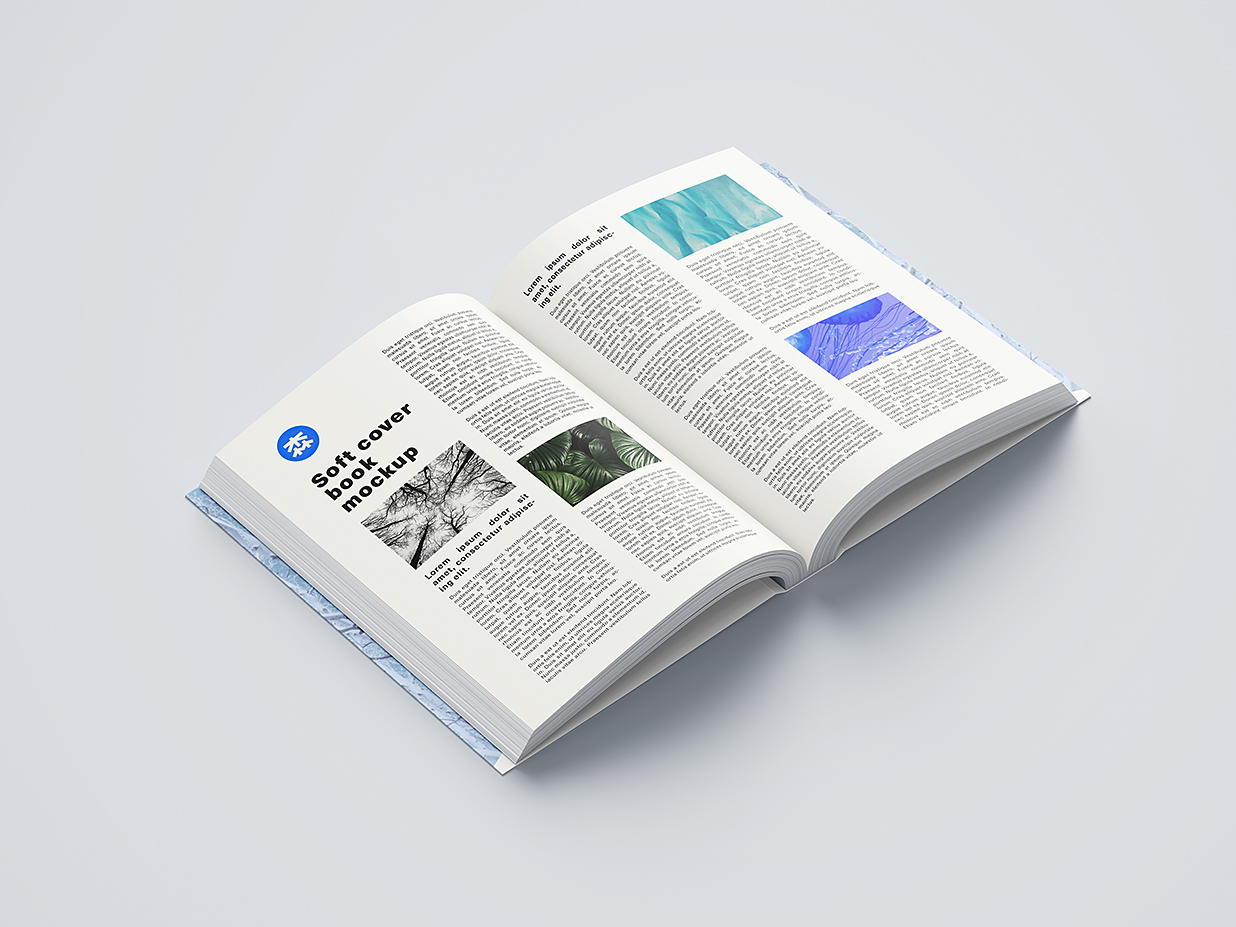 厚重的软装平装书籍样机mockup11组插图6