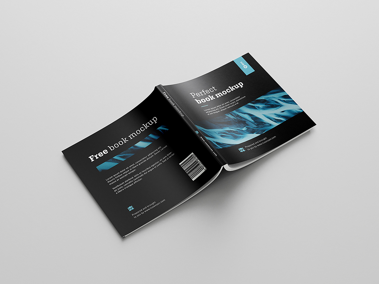 高质感方形软装平装书籍样机mockup8组插图6