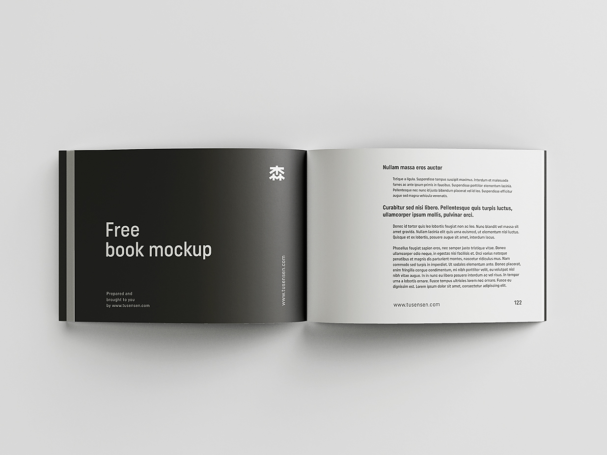 方形软装平装书籍样机mockup8组插图6