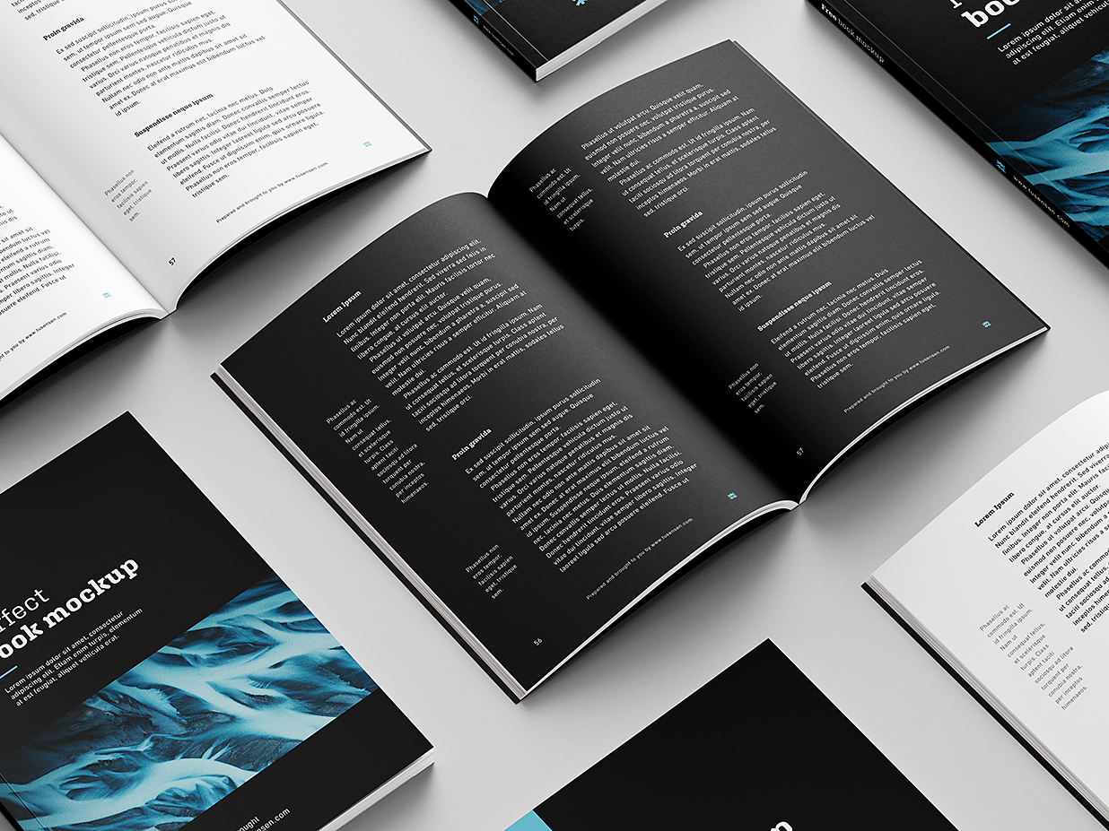 精致的软装平装书籍样机mockup8组插图7 精致的软装平装书籍样机mockup8组插图7