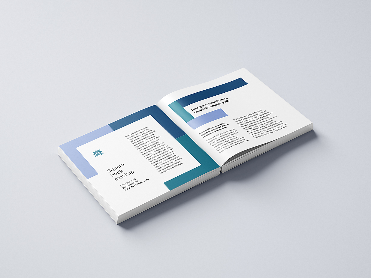 精致的方形软装平装书籍样机mockup11组插图8