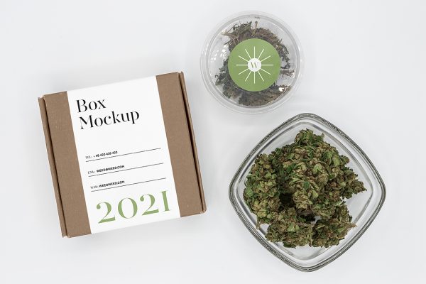带场景的飞机盒纸盒包装盒快递盒样机mockup